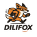 dilifoxstore - 홈